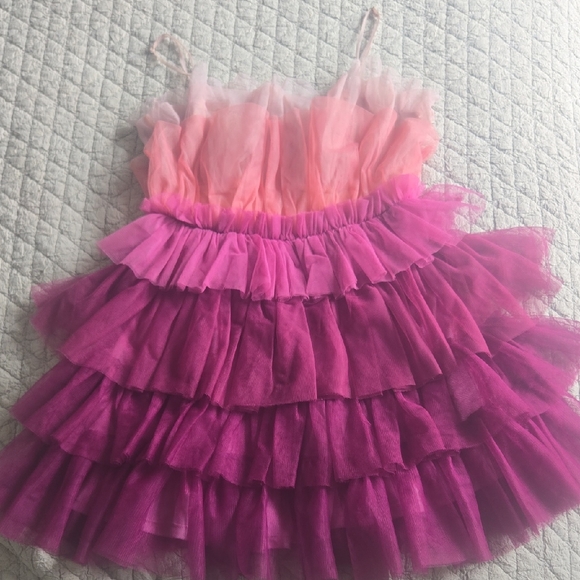 Ella Blue Dresses & Skirts - Pink and Purple Ruffled Mini Dress